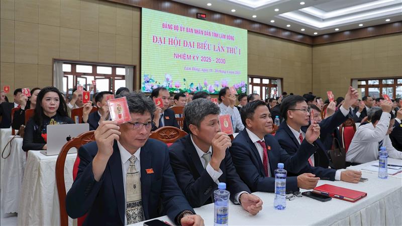 Các đại biểu biểu quyết các nội dung của Đại hội