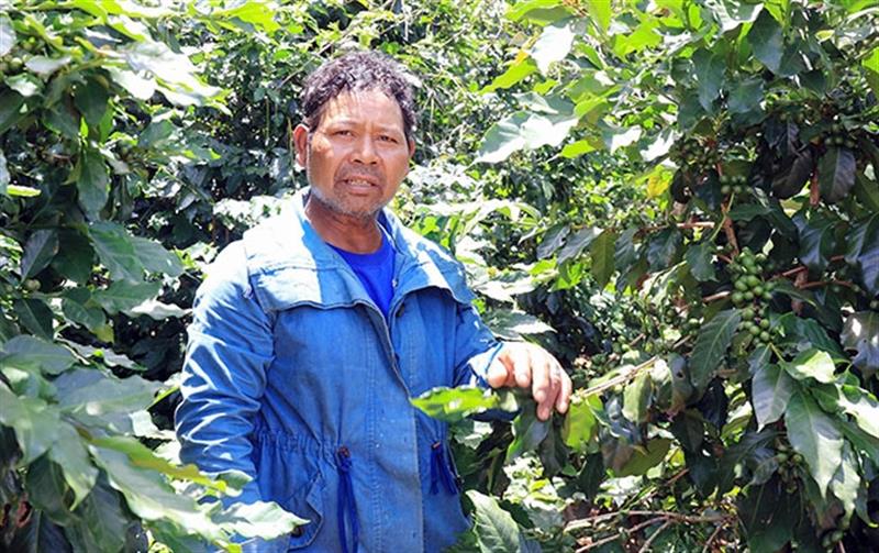  Bí thư Chi bộ kiêm Trưởng ban Công tác Mặt trận thôn 2 Krajan Ha Têm