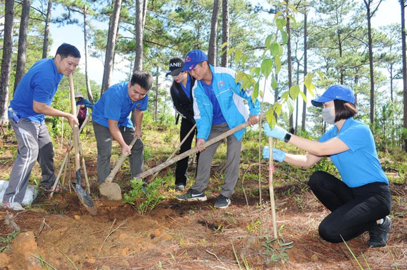Thông qua phong trào hoạt động, các cơ sở đoàn thuộc Khối Các cơ quan tỉnh đã phát hiện được nhiều đoàn viên ưu tú cho Đảng xem xét, bồi dưỡng kết nạp