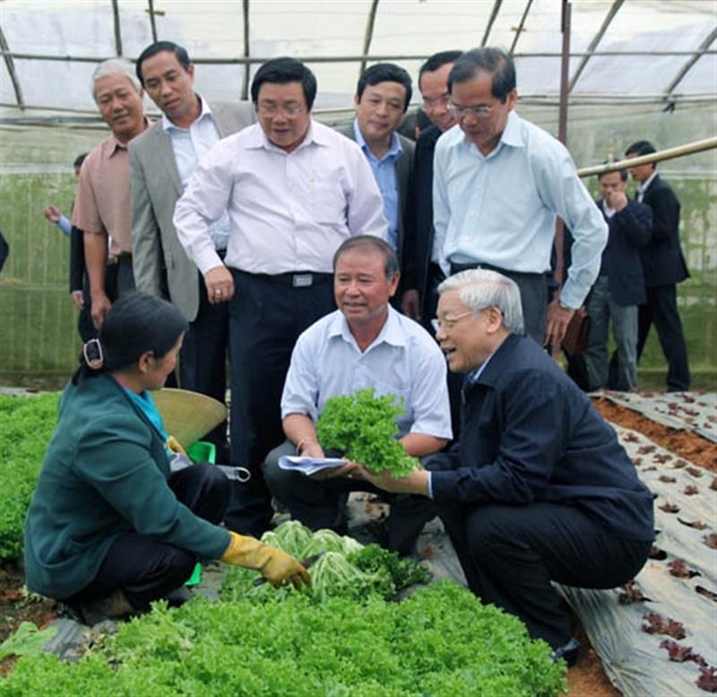 Những hình ảnh Tổng Bí thư Nguyễn Phú Trọng về thăm mô hình nông nghiệp công nghệ cao của người dân Lâm Đồng ngay sau khi xuống máy bay