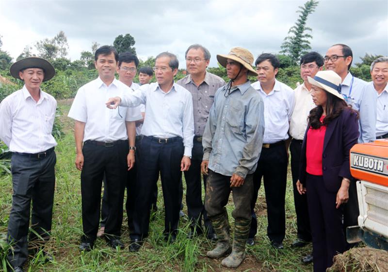 Đồng chí Nguyễn Xuân Tiến - UVTW Đảng, Bí thư Tỉnh ủy Lâm Đồng cùng với các đồng chí lãnh đạo các sở, ban, ngành của tỉnh đi kiểm tra một số mô hình kinh tế hiệu quả tại xã Đinh Lạc.