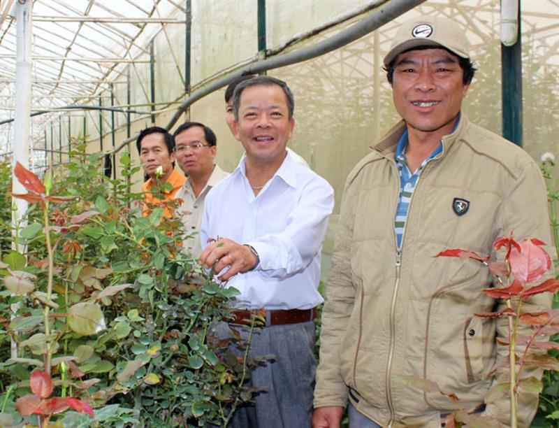 Ông Pang Ting Sin (bìa phải) cùng với mô hình trồng hoa hồng được nhiều người biết đến tại thị trấn Lạc Dương. Ảnh: T.Đức